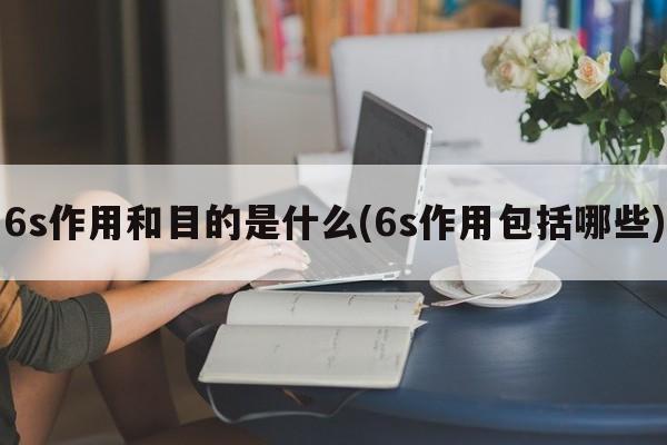 6s作用和目的是什么(6s作用包括哪些)